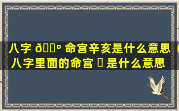 八字 🐺 命宫辛亥是什么意思（八字里面的命宫 ☘ 是什么意思）